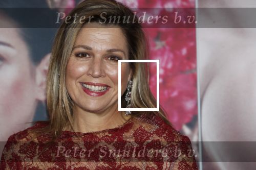 Amsterdam 6 februari 2020
Premiere Frida van het nationaal ballet in de Stopera. Koningin Maxima kwam ook over de rode loper .