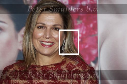 Amsterdam 6 februari 2020
Premiere Frida van het nationaal ballet in de Stopera. Koningin Maxima kwam ook over de rode loper .