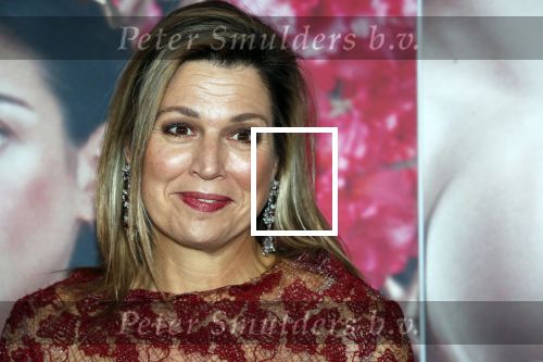 Amsterdam 6 februari 2020
Premiere Frida van het nationaal ballet in de Stopera. Koningin Maxima kwam ook over de rode loper .