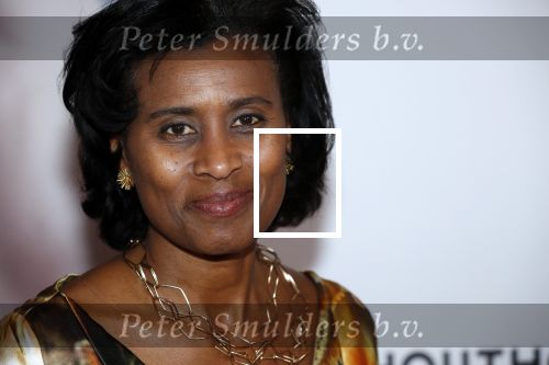 Amsterdam 6 februari 2020
Premiere Frida van het nationaal ballet in de Stopera. Laetitia Griffith met man