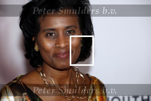 Amsterdam 6 februari 2020
Premiere Frida van het nationaal ballet in de Stopera. Laetitia Griffith met man