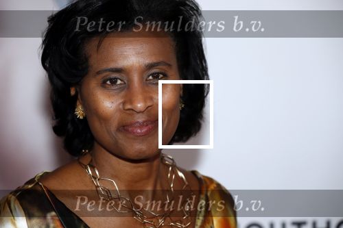 Amsterdam 6 februari 2020
Premiere Frida van het nationaal ballet in de Stopera. Laetitia Griffith met man
