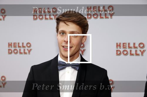 Rotterdam 8 maart 2020
Premiere Hello Dolly in het nieuwe Luxor. Leendert de Ridder