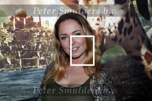 Amsterdam 12 januari 2020
Premiere Dolittle in pathe Arena. Lente Voorhoeve met zoon