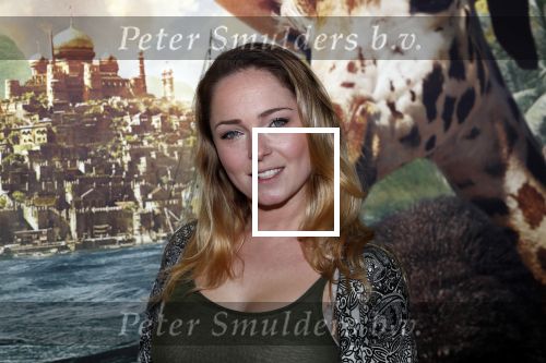 Amsterdam 12 januari 2020
Premiere Dolittle in pathe Arena. Lente Voorhoeve met zoon