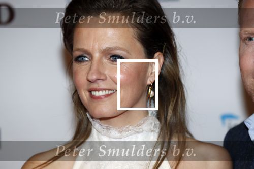 Amsterdam 10 februari 2020
Premiere van de beentjes van Sint Hildegard in Tuschinski met in de hoofdrollen Herman Finkers Johanna ter Steege Leonie ter Braak Ferdi Stofmeel en Daphne Bunskoek .