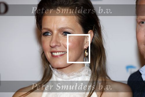Amsterdam 10 februari 2020
Premiere van de beentjes van Sint Hildegard in Tuschinski met in de hoofdrollen Herman Finkers Johanna ter Steege Leonie ter Braak Ferdi Stofmeel en Daphne Bunskoek .