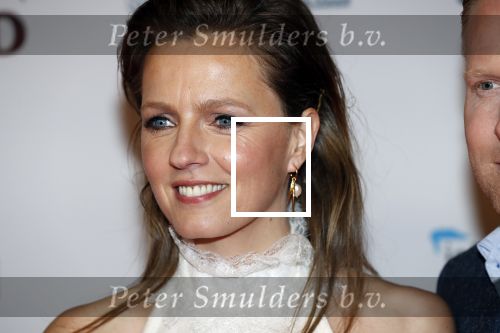 Amsterdam 10 februari 2020
Premiere van de beentjes van Sint Hildegard in Tuschinski met in de hoofdrollen Herman Finkers Johanna ter Steege Leonie ter Braak Ferdi Stofmeel en Daphne Bunskoek .