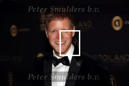 Hilversum 30 januari 2020
Radioring gala in theater gooiland .
Lex Uiting