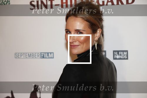 Amsterdam 10 februari 2020
Premiere van de beentjes van Sint Hildegard in Tuschinski met in de hoofdrollen Herman Finkers Johanna ter Steege Leonie ter Braak Ferdi Stofmeel en Daphne Bunskoek . Lieke v Lexmond met haar man Bas v Veggel
