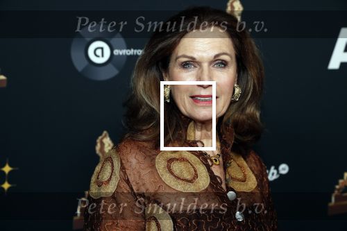 Amsterdam 22 januari 2020
Musicalgala in de Rai. Liz Snoijink kwam met haar man