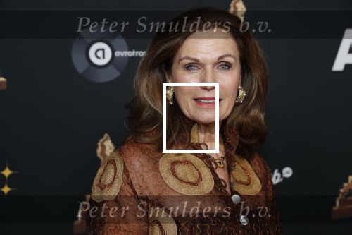 Amsterdam 22 januari 2020
Musicalgala in de Rai. Liz Snoijink kwam met haar man