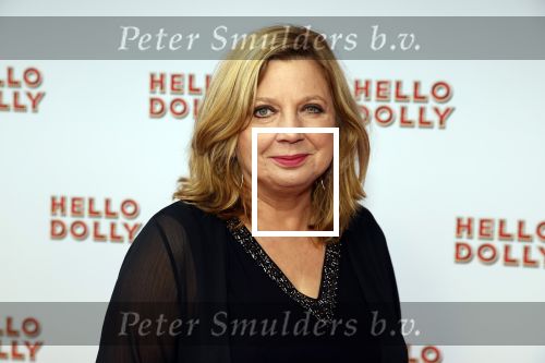 Rotterdam 8 maart 2020
Premiere Hello Dolly in het nieuwe Luxor. Loretta Schrijver