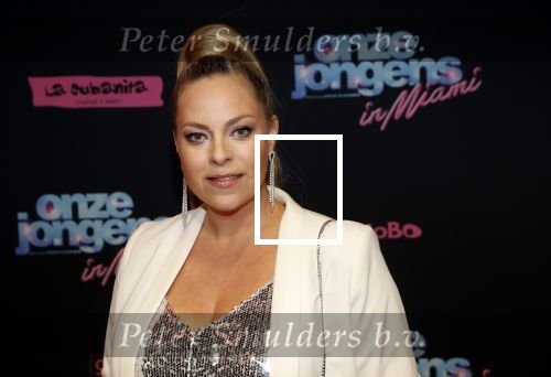 Amsterdam 27 januari 2020
Premiere Onze Jongens in Miami in Tuschinski. Maaike Martens