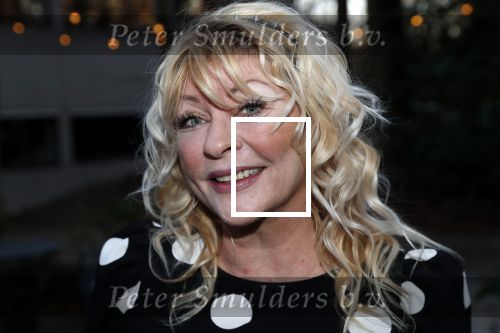 Hilversum 5 januari 2020
Peter Koelewijn krijgt een lintje van Burgemeester Pieter Broertjes.
Event vond plaats in de wisseloord studios. manuela Kemp met haar man Tjerk lammers