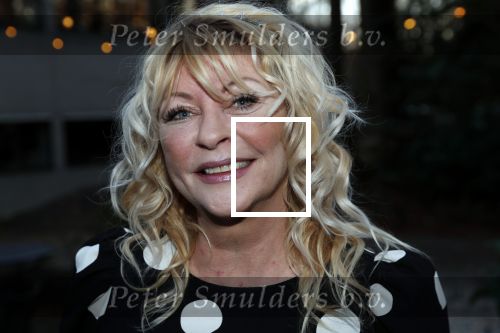 Hilversum 5 januari 2020
Peter Koelewijn krijgt een lintje van Burgemeester Pieter Broertjes.
Event vond plaats in de wisseloord studios. manuela Kemp met haar man Tjerk lammers
