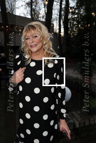 Hilversum 5 januari 2020
Peter Koelewijn krijgt een lintje van Burgemeester Pieter Broertjes.
Event vond plaats in de wisseloord studios. manuela Kemp met haar man Tjerk lammers