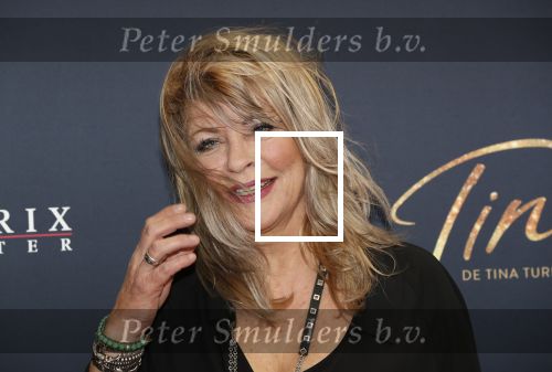 Utrecht 9 februari 2020
Premiere Tina Turner musical in het Beatrix Theater.
Manuela Kemp