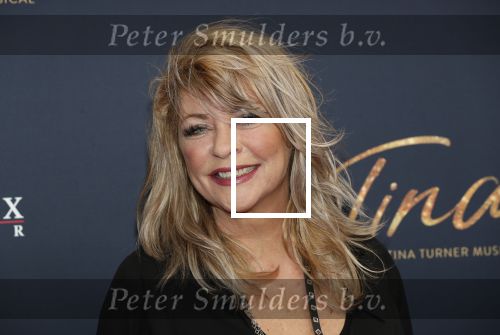 Utrecht 9 februari 2020
Premiere Tina Turner musical in het Beatrix Theater.
Manuela Kemp