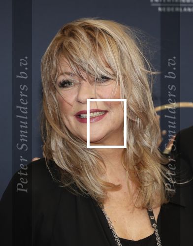 Utrecht 9 februari 2020
Premiere Tina Turner musical in het Beatrix Theater. Manuela Kemp kwam met haar man Tjerk