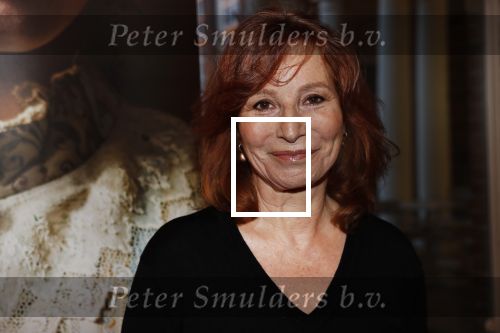Amsterdam29 januari 2020
Presentatie boek Susan Smit in Amsterdams museum. Marian Mudder