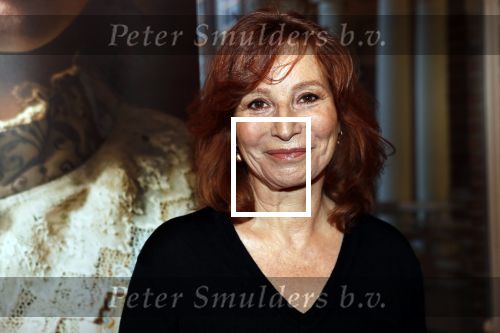 Amsterdam29 januari 2020
Presentatie boek Susan Smit in Amsterdams museum. Marian Mudder