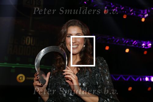 Hilversum 30 januari 2020
Radioring gala in theater gooiland . Marieke Elsinga