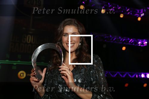 Hilversum 30 januari 2020
Radioring gala in theater gooiland . Marieke Elsinga