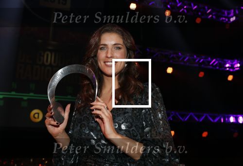 Hilversum 30 januari 2020
Radioring gala in theater gooiland . Marieke Elsinga