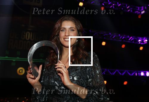 Hilversum 30 januari 2020
Radioring gala in theater gooiland . Marieke Elsinga