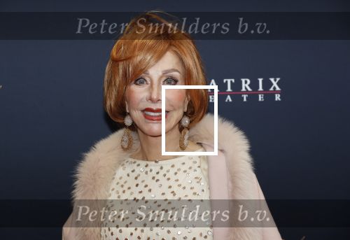 Utrecht 9 februari 2020
Premiere Tina Turner musical in het Beatrix Theater.
Marijke Helwegen