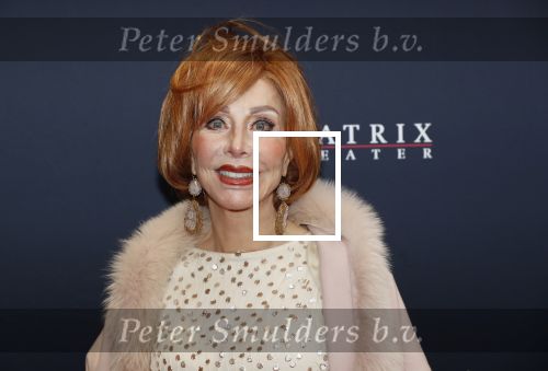 Utrecht 9 februari 2020
Premiere Tina Turner musical in het Beatrix Theater.
Marijke Helwegen