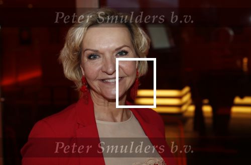 Nieuwegein 4 februari 2020
Premiere Heel Holland lacht in schouwburg de Kom. Mariska v Kolck