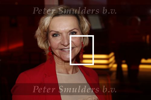 Nieuwegein 4 februari 2020
Premiere Heel Holland lacht in schouwburg de Kom. Mariska v Kolck