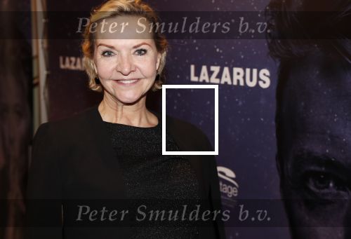 Amsterdam 12 februari 2020
Premiere Lazarus in het nieuwe deLaMar theater. mariska v Kolck