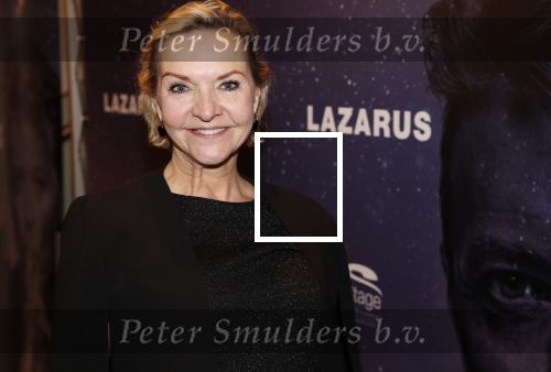 Amsterdam 12 februari 2020
Premiere Lazarus in het nieuwe deLaMar theater. mariska v Kolck