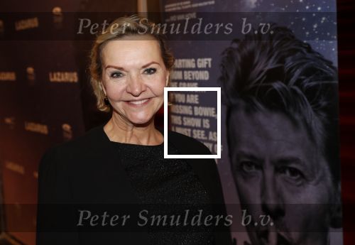 Amsterdam 12 februari 2020
Premiere Lazarus in het nieuwe deLaMar theater. mariska v Kolck