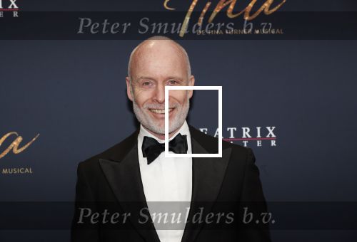 Utrecht 9 februari 2020
Premiere Tina Turner musical in het Beatrix Theater.
Mart Visser