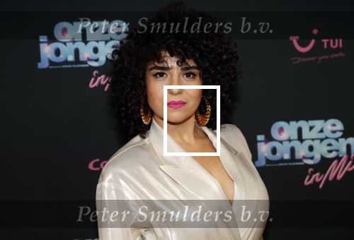 Amsterdam 27 januari 2020
Premiere Onze Jongens in Miami in Tuschinski. Meral Polat