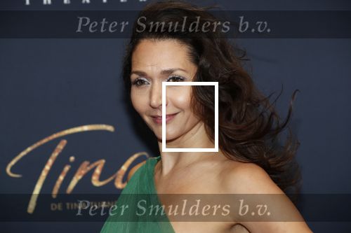 Utrecht 9 februari 2020
Premiere Tina Turner musical in het Beatrix Theater.
Meriyem Manders