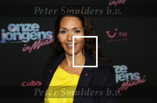 Amsterdam 27 januari 2020
Premiere Onze Jongens in Miami in Tuschinski. Meriyem Manders