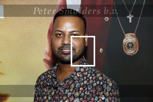 Amsterdam 20 januari 2020
Premiere Bad Boys for life in pathe Arena. Michael Mendoza kwam met â€¦