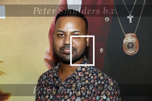 Amsterdam 20 januari 2020
Premiere Bad Boys for life in pathe Arena. Michael Mendoza kwam met â€¦