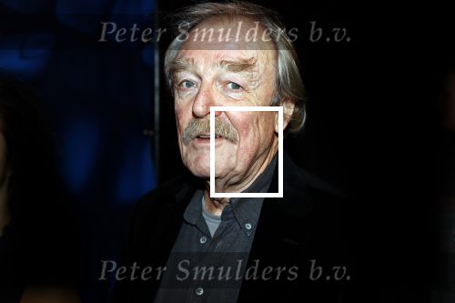 Amsterdam 6 maart 2020
Boekenbal 2020 in de koninklijke schouwburg. Midas Dekker met dochter