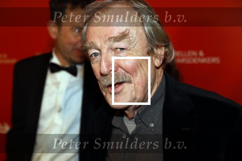Amsterdam 6 maart 2020
Boekenbal 2020 in de koninklijke schouwburg. Midas Dekker met dochter