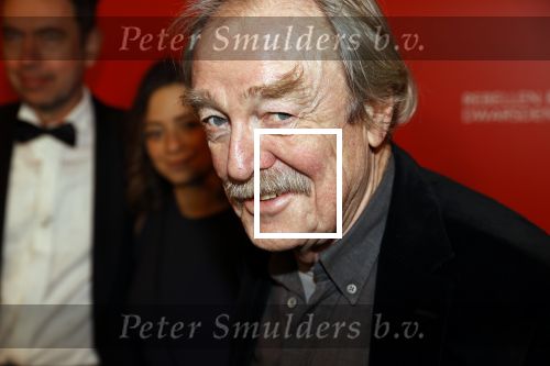 Amsterdam 6 maart 2020
Boekenbal 2020 in de koninklijke schouwburg. Midas Dekker met dochter