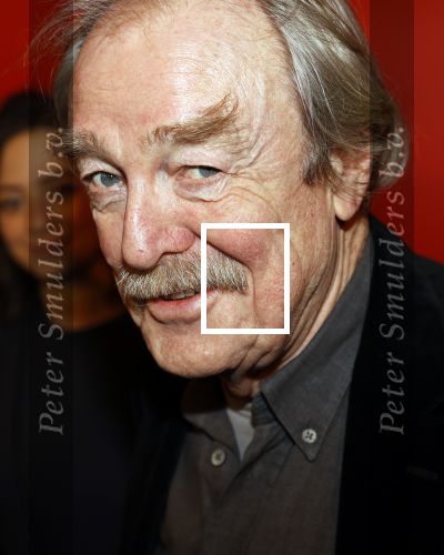 Amsterdam 6 maart 2020
Boekenbal 2020 in de koninklijke schouwburg. Midas Dekker met dochter