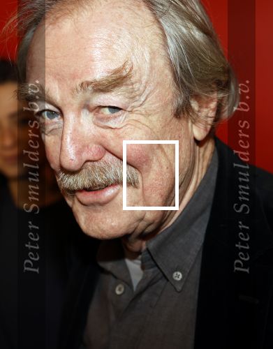 Amsterdam 6 maart 2020
Boekenbal 2020 in de koninklijke schouwburg. Midas Dekker met dochter