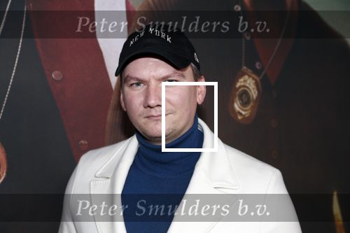 Amsterdam 20 januari 2020
Premiere Bad Boys for life in pathe Arena. Mike Verhoef