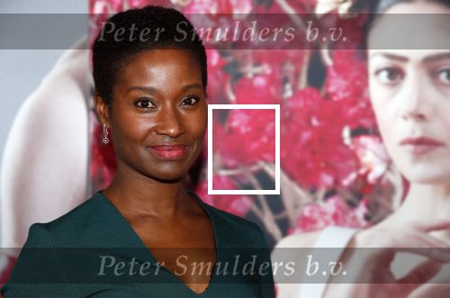 Amsterdam 6 februari 2020
Premiere Frida van het nationaal ballet in de Stopera. Milouska Meulens en Joris Marseille
